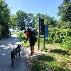 Wir erreichen Langenargen!