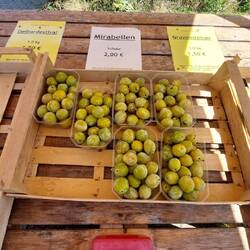 Viele Mirabellen....