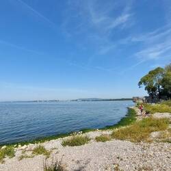 Ohne jeglichen Trubel!😎