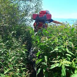 ...immer Mal wieder!