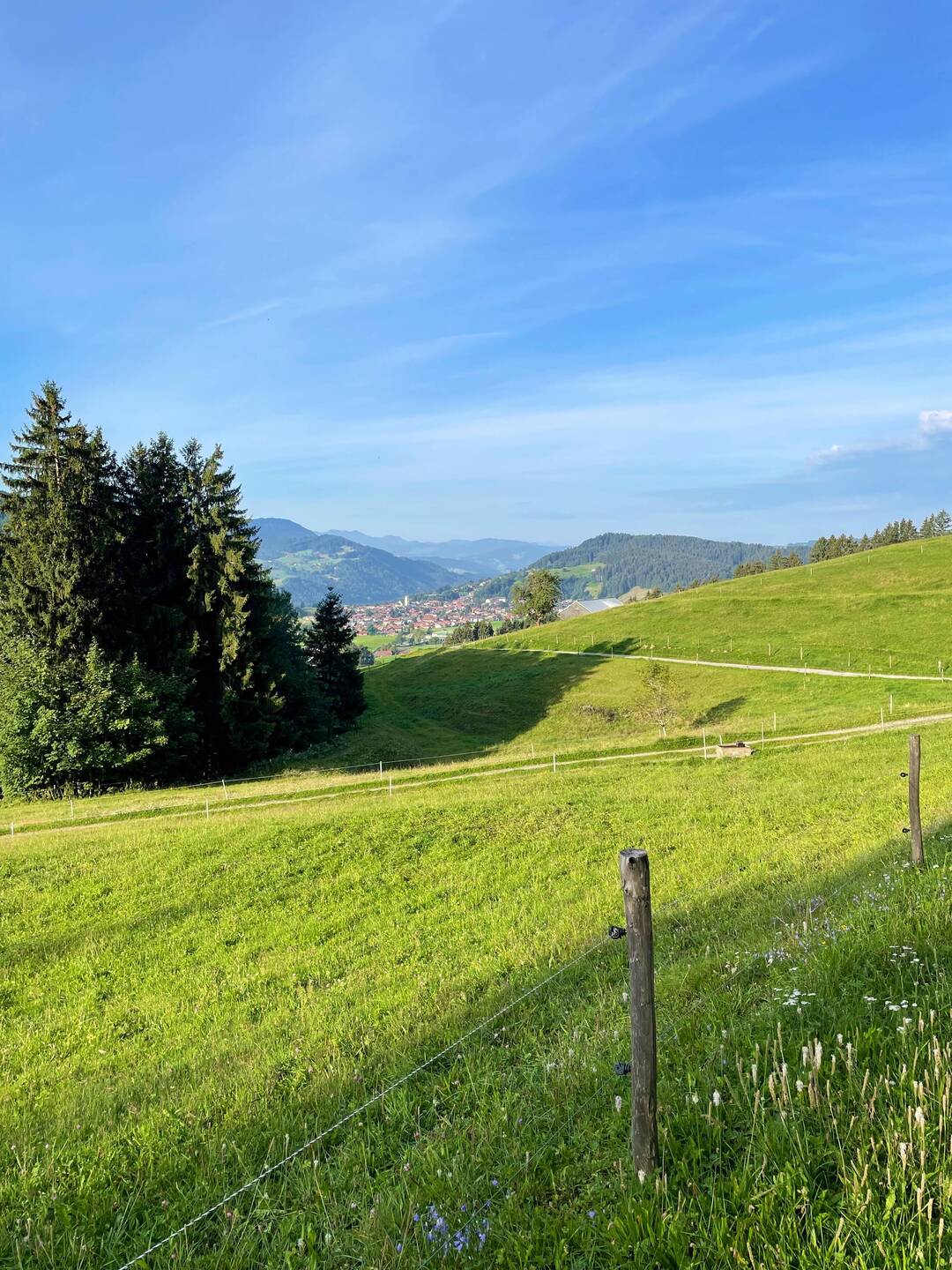 Blick auf Kalzhofen und Oberstaufen