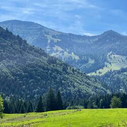 Heutiger Endgegner: der Hochgrat