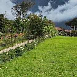 El vulcabo Tungurahua