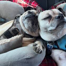 Long trip for the boys but they took it in their stride as usual