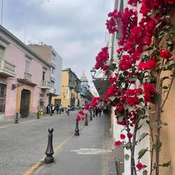 Der Blick in eine Straße Limas