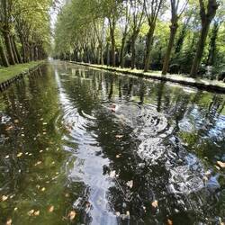 Ich und der Rhein-Rhone-Kanal; das Wasser ist übrigens glasklar. Man kann bis auf den Grund sehen.