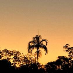 Coolalinga sunset