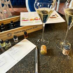 Tasting & activities at Venoge