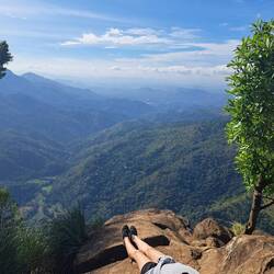 - auf dem Ella Rock, 1340m
