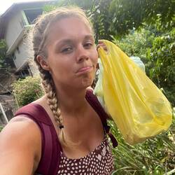 Tacos auf dem Weg gefunden😆