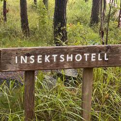 Das war richtig toll gemacht.