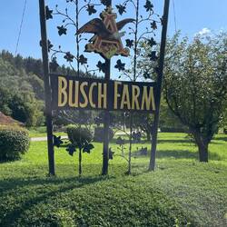 Auch Busch-Anhäuser hat hier seine Finger im Spiel