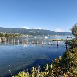 Im Hintergrund schon Bregenz!