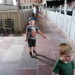 Mace på jagt efter prinsessen.