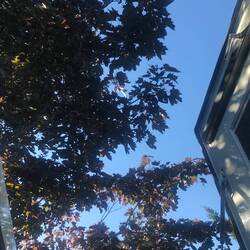 Blick aus dem Dachfenster am Morgen