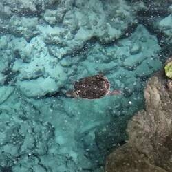 Parque Nacional de los Tres Ojos