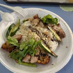 Roasted Pork and Rice