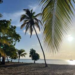 Zum Sonnenuntergang am Strand 💯