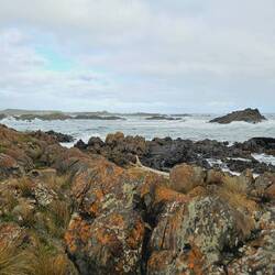 Couta Rocks
