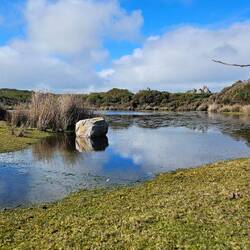 Near Lighthouse Beach