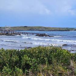 Couta Rocks