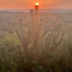 Die Weihnachtsbaumspitze leuchtet😂