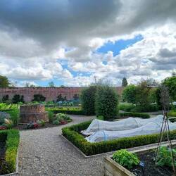 Wynyard Edible Garden