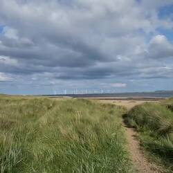 Super Windy, yet warm