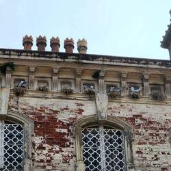 Abandoned building full with resident gulls 😂