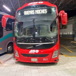 Dasch üsä super Bus gsi wo mir 22h hei dörfe drmit verbringe😅