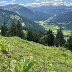Balderschwanger Tal / Riedbergpass