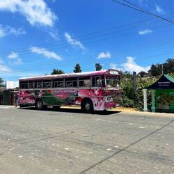 Ich liebe diese Busse hier😍