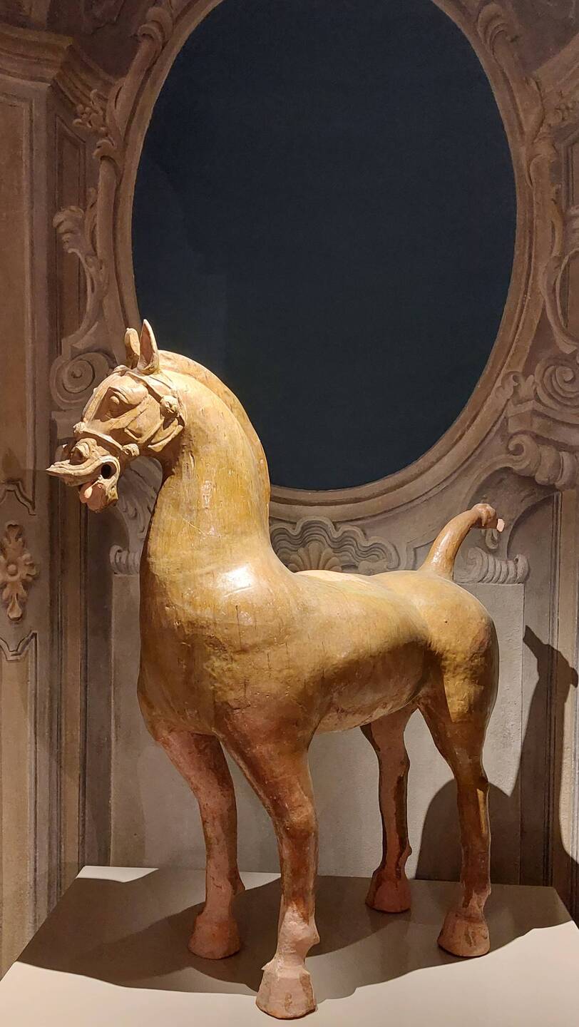 Cavallo con corta criniera e coda annodata