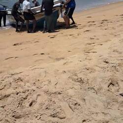 ..leider keinen Fisch als Dankeschön bekommen. 🤪