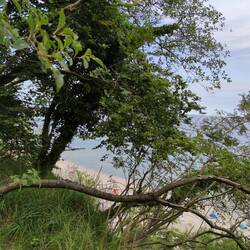 Blick von der Steilküste