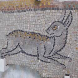 Set of animal mosaics 4c BC