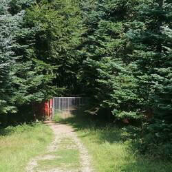 Die Tore für den Wildbereich