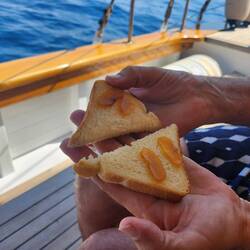 Bottarga on bread. Yum!