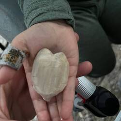 Überraschungsherz für Judith 🥰