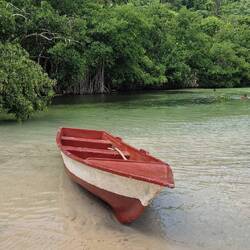 Río Frío a Playa Rincón