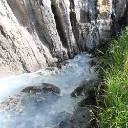 Riecht Ihr es auch? 😁