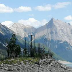 Adlerhorst, der Bereich rundherum ist abgesperrt.