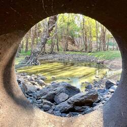 Wet season barra hole