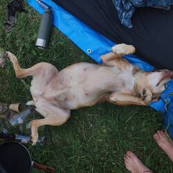 Il était bon ce vin rouge