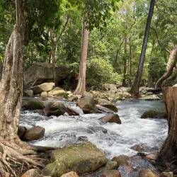 Walk to Jourama Falls