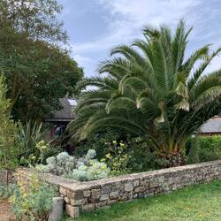 Und manchmal denkt man, wir sind im Süden.