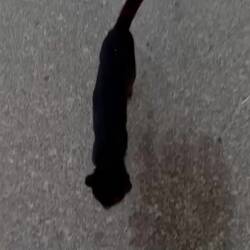 Best part of my day??!!