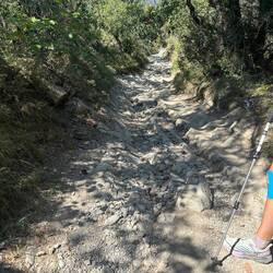 Still horrible trail