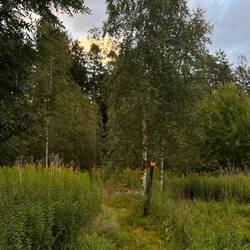 Hier geht mein Weg morgen weiter