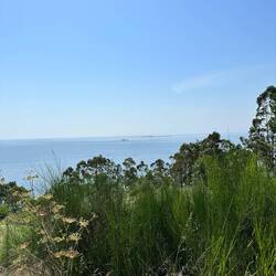 Immer wieder... das Meer